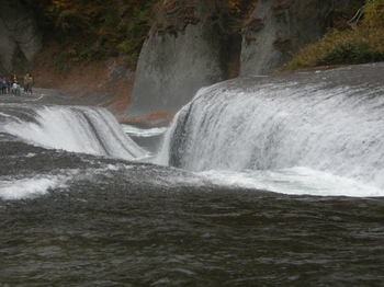 PB010449.JPG