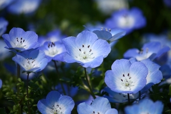a1e5984a7145a3478bcd3b4cff7d1aaa.jpg
