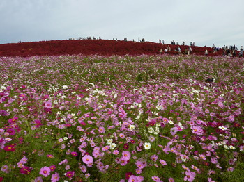 P1040007.JPG