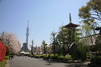 IMG_1161.JPG
