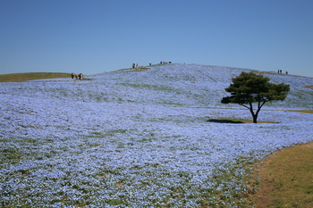 IMG_1205.JPG