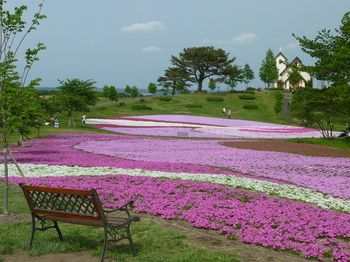 P1000207.JPG