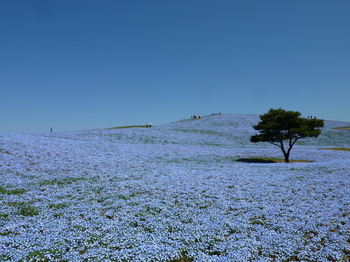P1000099.JPG