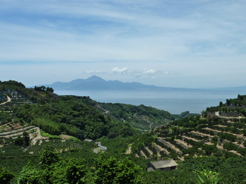 P1000456.JPG