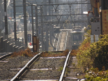 CIMG2113.JPG