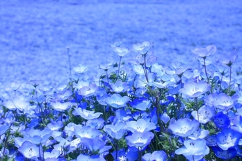 05f1fa802cd6e1738ae44c287f36404a-thumb-350x233-214.jpg