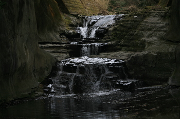 IMG_2781.JPG