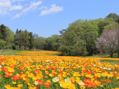 654d0_0003205577_2.jpg