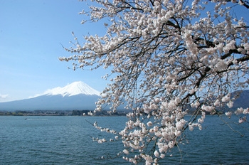 fujisakura-thumb-400x266-54.jpg