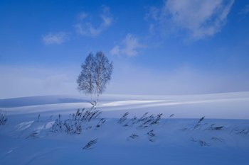 hokkaido2323.jpg