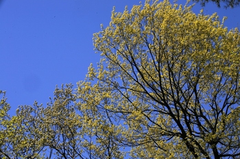 IMG_3287.JPG