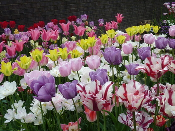 20110521_053205000_iOS.jpg