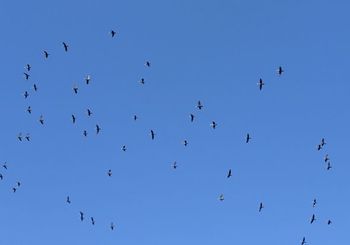 313970987_494904129348229_4855526627442718594_n.jpg