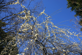 IMG_3895.JPG